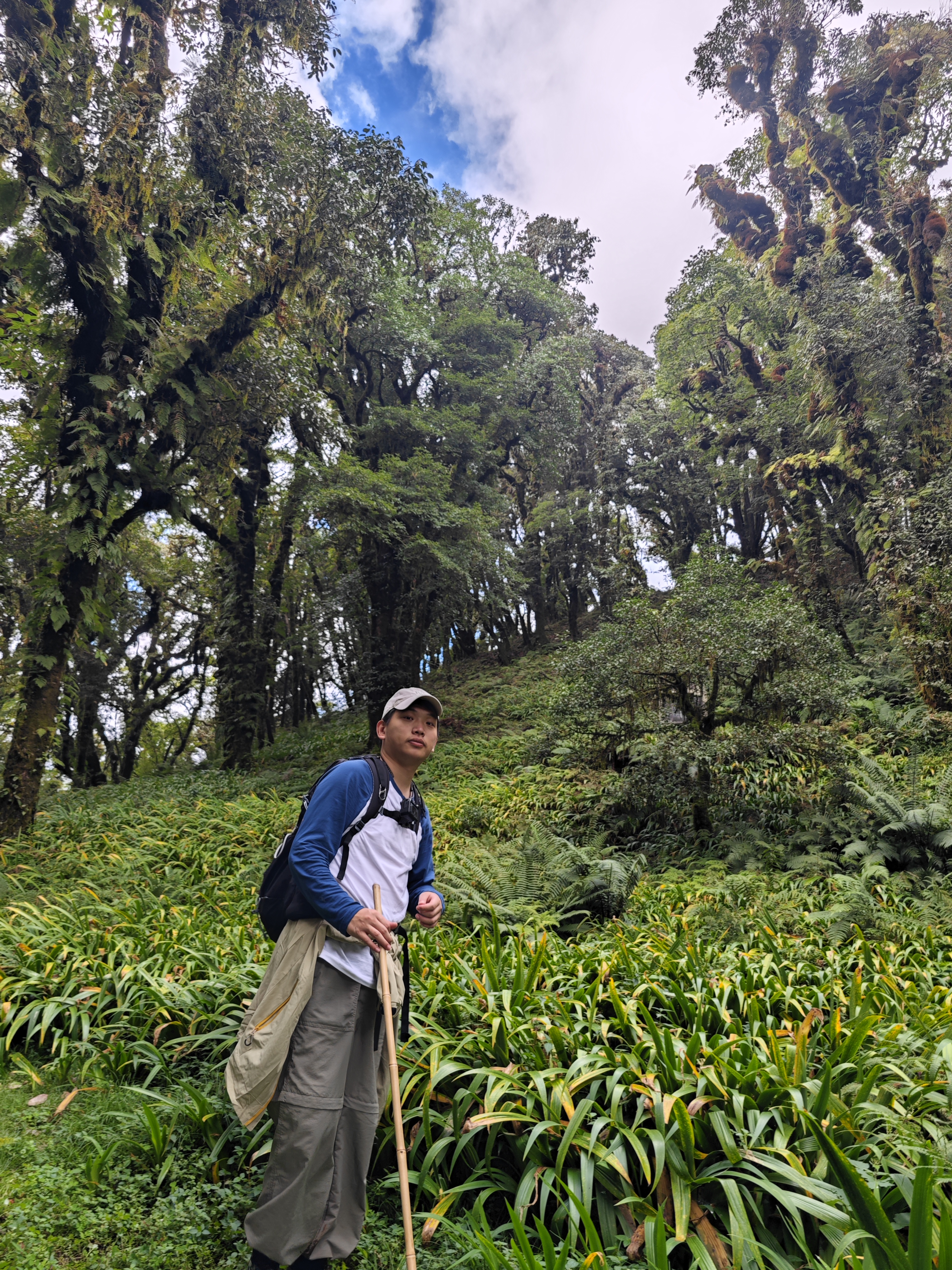 Yimian Deng Portrait